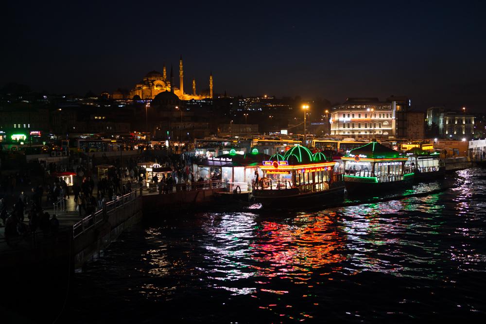 _DSC8868