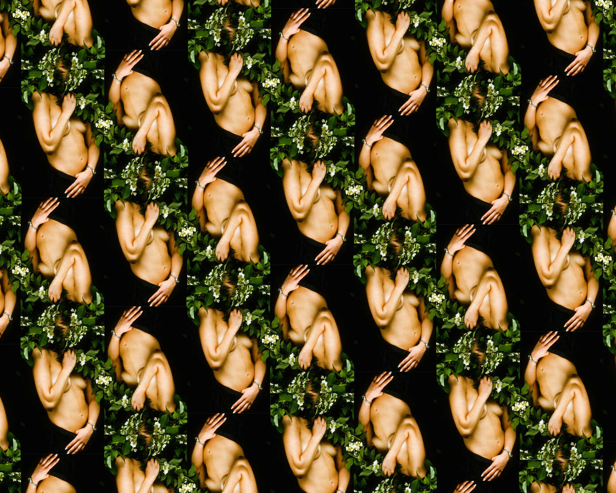 nudeplantcollage